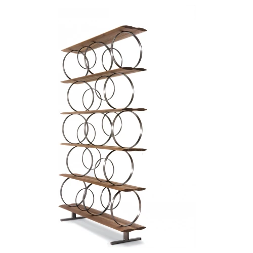 Flying Circles Book Cabinet