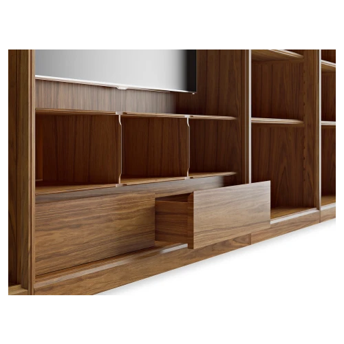 Work TV Unit