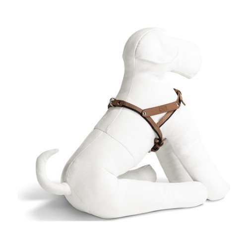 Pet collection | Harness