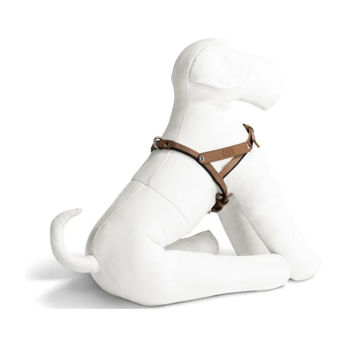 Pet collection | Harness