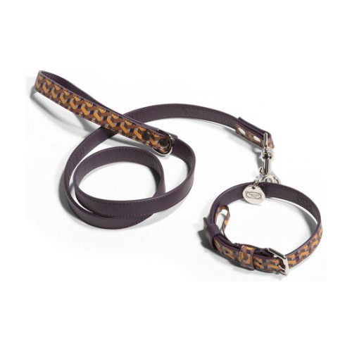 Pet collection | Leash