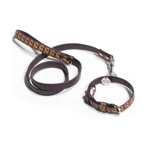 Pet collection | Leash